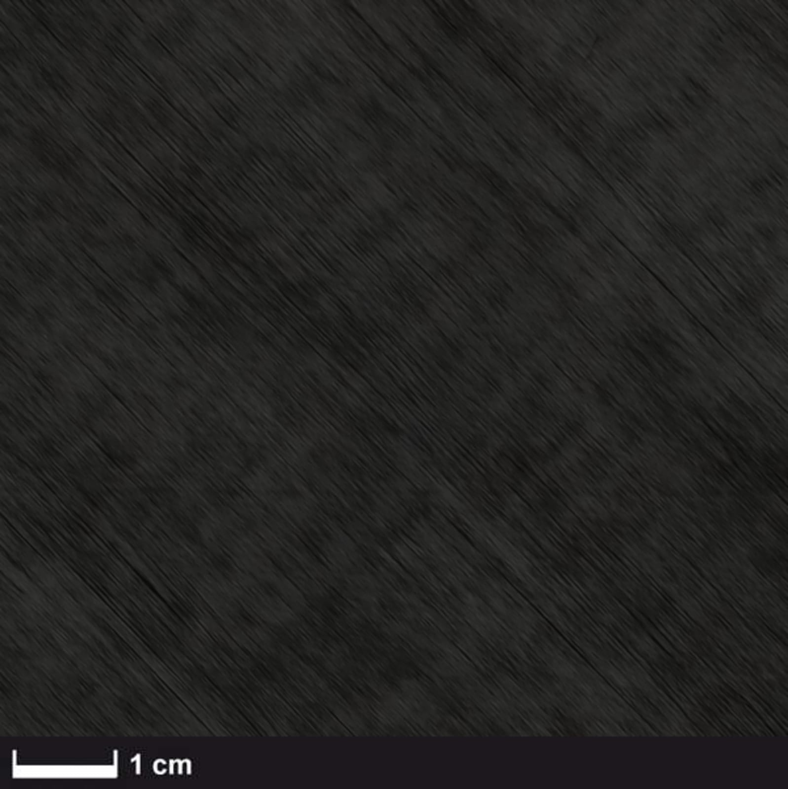 The image shows a close-up of a dark, textured surface with diagonal lines. A scale indicating 1 cm is visible at the bottom left.