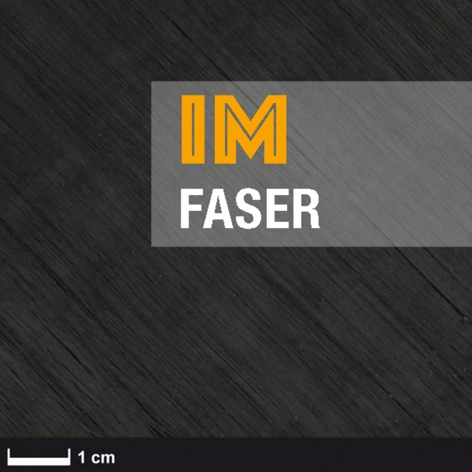Das Bild zeigt eine Nahaufnahme einer dunklen, texturierten Oberfläche mit dem Text 'IM FASER' in einem transparenten Rechteck. Eine Maßstabsleiste von 1 cm ist unten links zu sehen.
