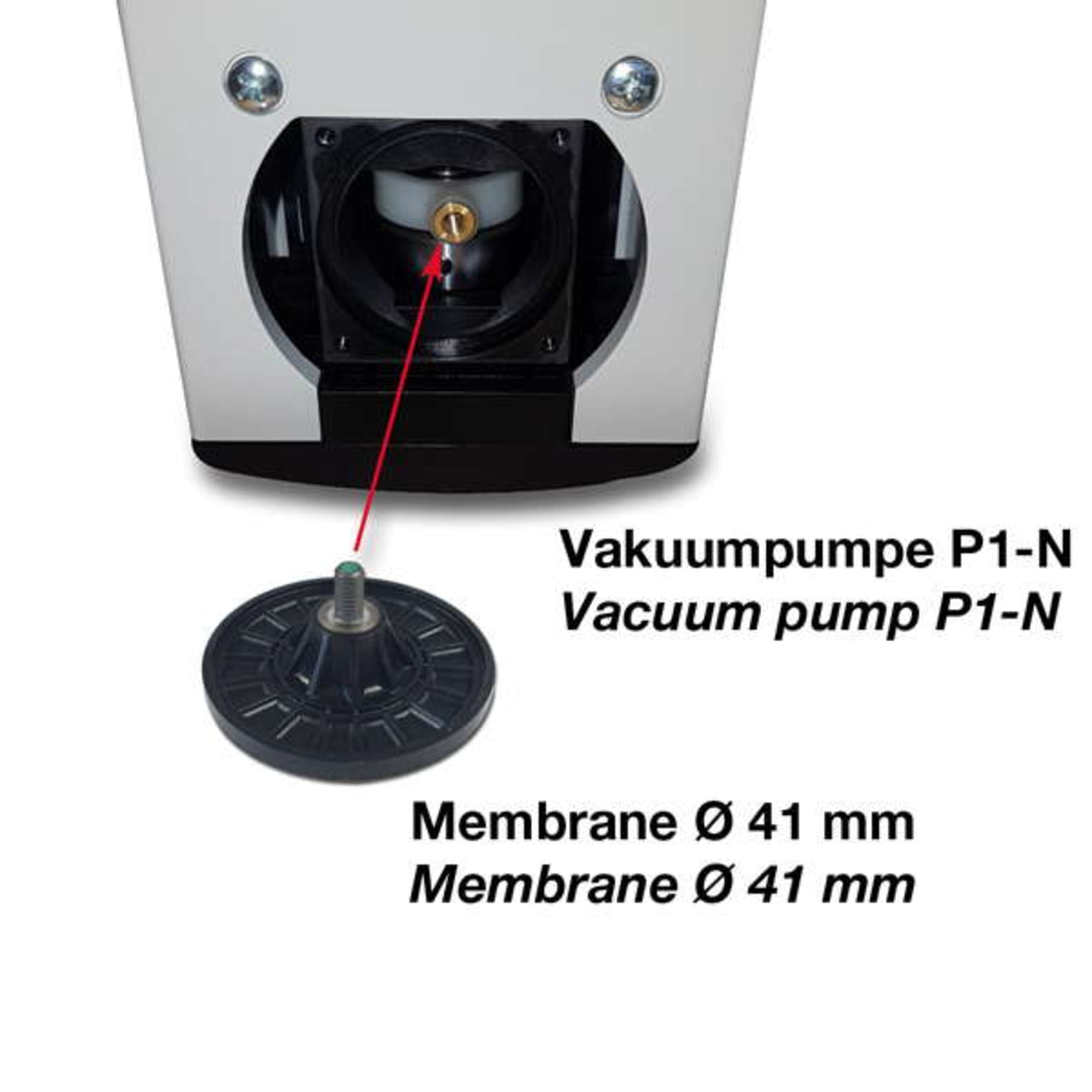 Spare parts for Vacuum Pump P1-N , image 4