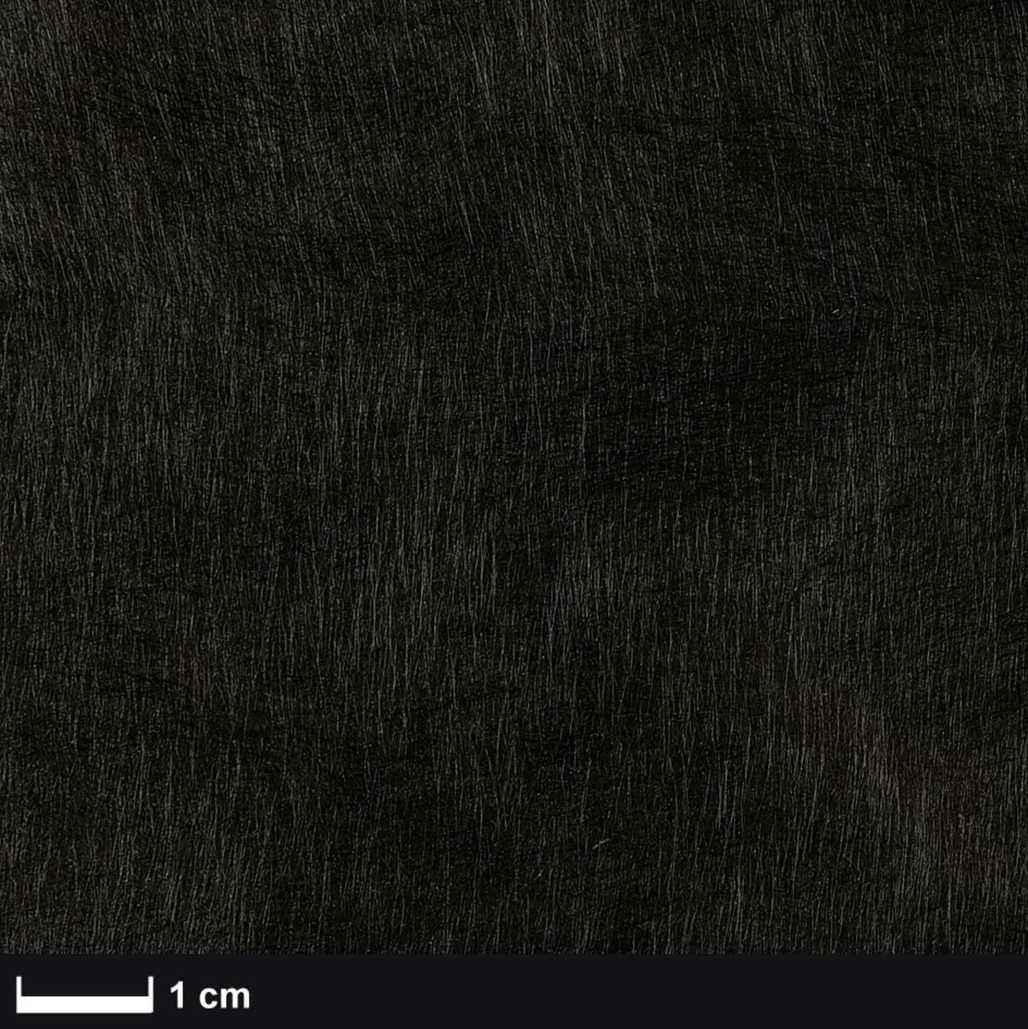 Carbon non-woven 20 g/m², width: 100 cm 