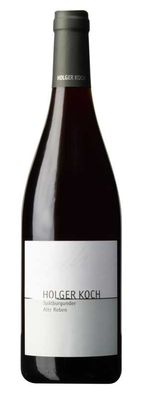 Holger Koch Pinot Noir „gT“*2023