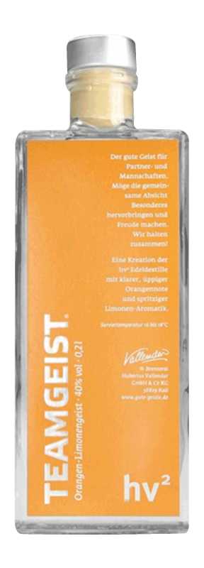 Vallendar Teamgeist (Orange-Limette) (0,2 l)