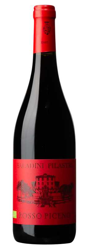 Saladini Pilastri Rosso Piceno DOC2023