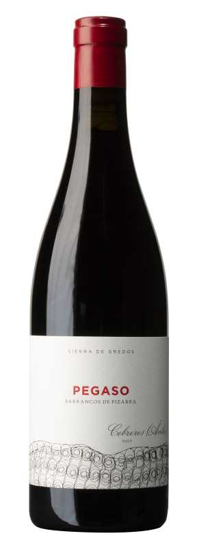 Telmo Rodriguez Pegaso „Pizarra“ DOP Cebreros, tinto2021