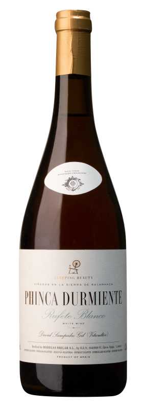 Bhilar Phinca Durmiente, Rufete blanco2017