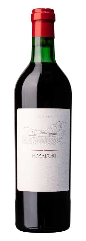 Foradori „Foradori“ Teroldego Rotaliano IGT Vigneti delle Dolomiti, rosso2023