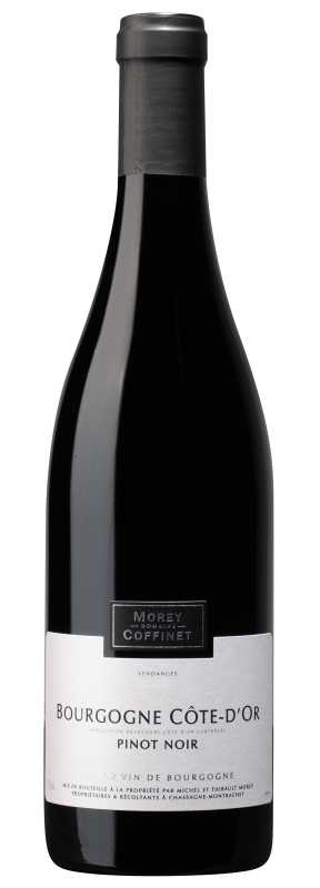 MoreyCoffinet Bourgogne „Pinot Noir de Côte d’Or“, rouge2023