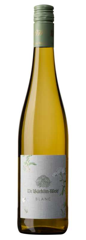 Produktfoto: Weinflasche mit grünem Schraubverschluss und Etikett “Dr. Bürklin-Wolf Blanc“.