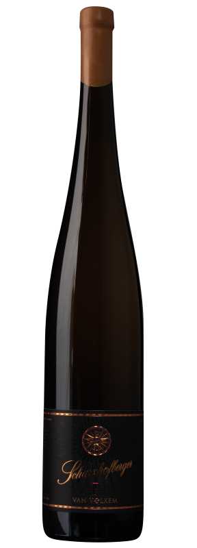 Produktfoto: Van Volxem Scharzhofberger Pergentsknopp Riesling Große Lage 2024 Magnum