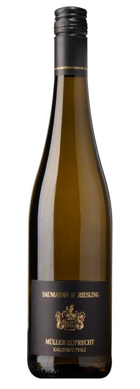 Produktfoto: Hochwertige Weinflasche mit schwarzem Etikett und goldener Schrift, Marke Müller-Ruprecht, Saumagen Riesling, Kallstadt/Pfalz.