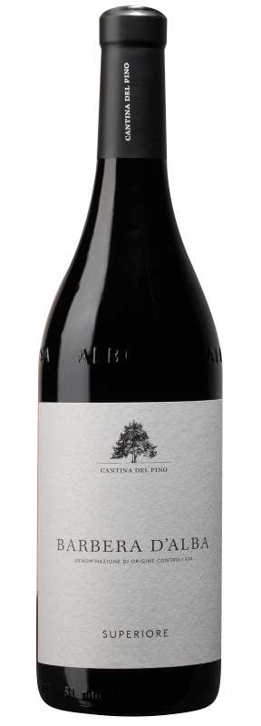 Produktfoto: Cantina del Pino Barbera d’Alba Superiore DOC, rosso 2023