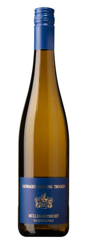 Produktfoto: Hochwertige Schlegelflasche mit blauem Etikett und Schraubverschluss. Aufschrift: Saumagen Riesling Trocken, M&uuml;ller-Ruprecht, Kallstadt/Pfalz.