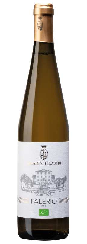 Produktfoto: Saladini Pilastri Falerio DOC, bianco 2025