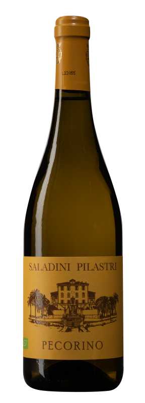 Produktfoto: Saladini Pilastri Pecorino DOC Falerio, bianco 2025