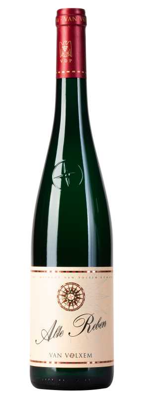 Produktfoto: Van Volxem Alte Reben Riesling 2024