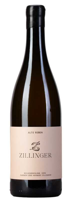 Produktfoto: Zillinger Welschriesling „Alte Reben“ 2025