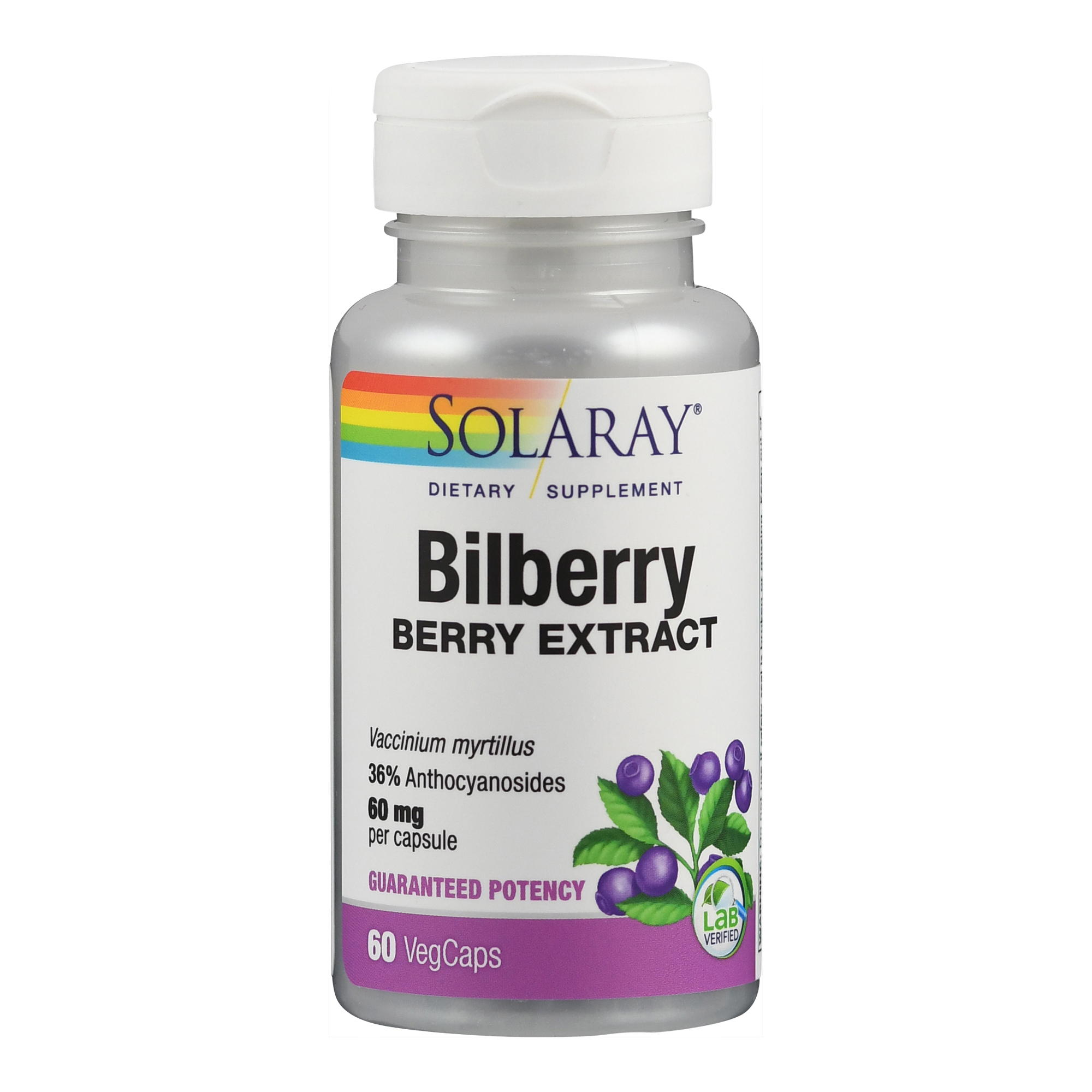 Blaubeere (Heidelbeere) Extrakt 60 mg (Bilberry) I laborgeprüft von Solaray.