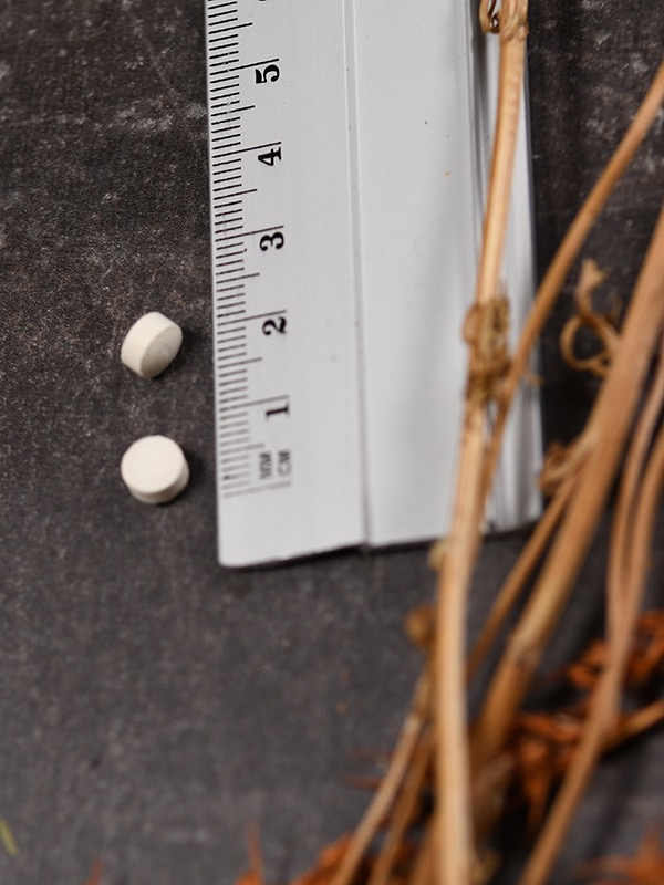 Vitamin K2 500 mcg ActivMelt™ jetzt online bestellen