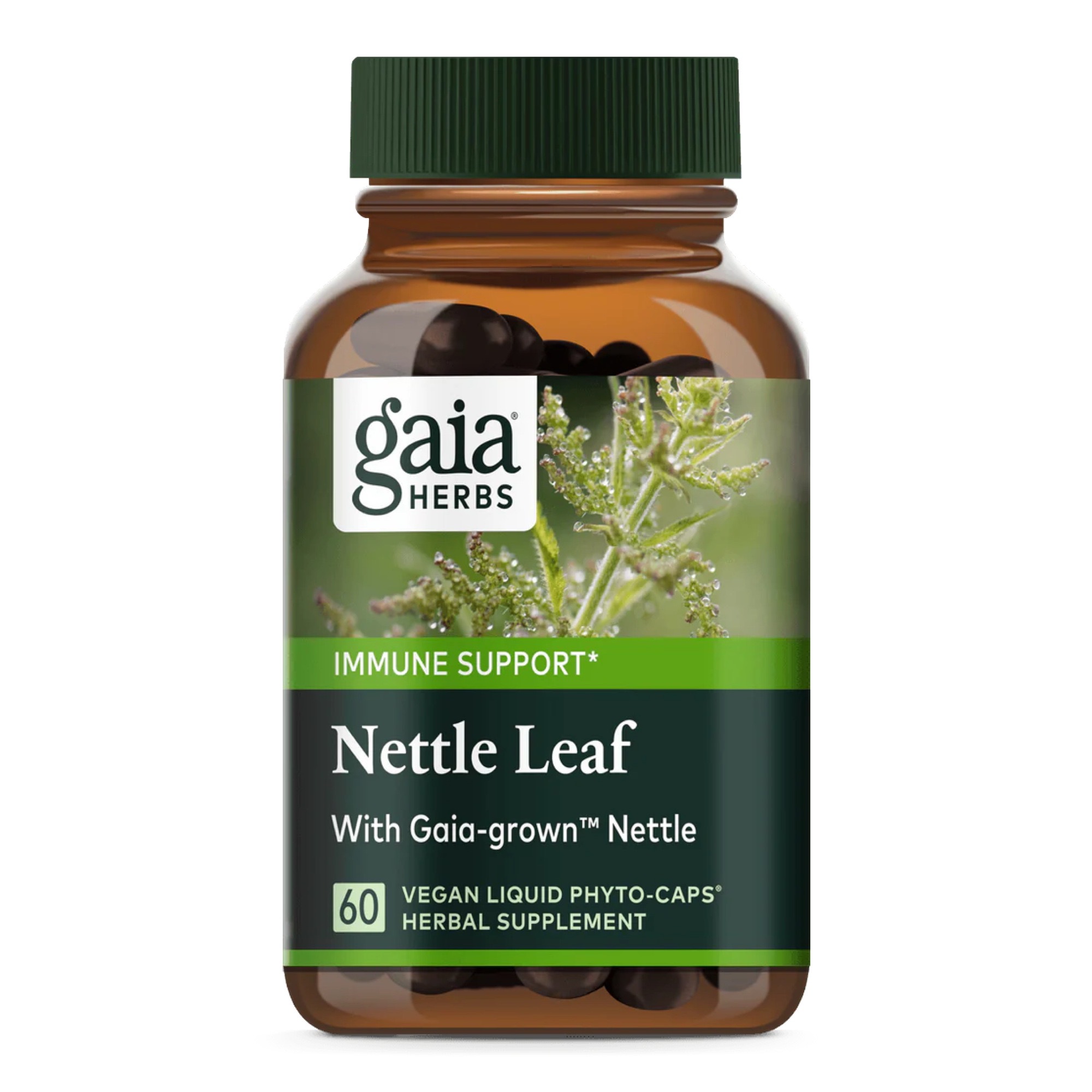 Produktfoto: Das Bild zeigt eine braune Flasche mit grünem Deckel, die ein Nahrungsergänzungsmittel von Gaia Herbs enthält. Auf dem Etikett steht “Nettle Leaf“ und “Immune Support“. Die Flasche enthält 60 vegane Flüssigkapseln und ist mit einem Bild von Brennnesselblättern verziert.
