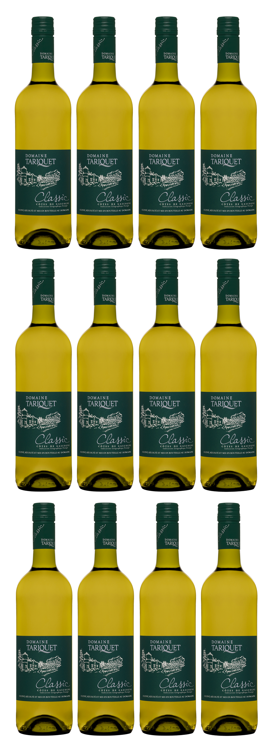 12x „Classic“ IGP Côtes de Gascogne, blanc