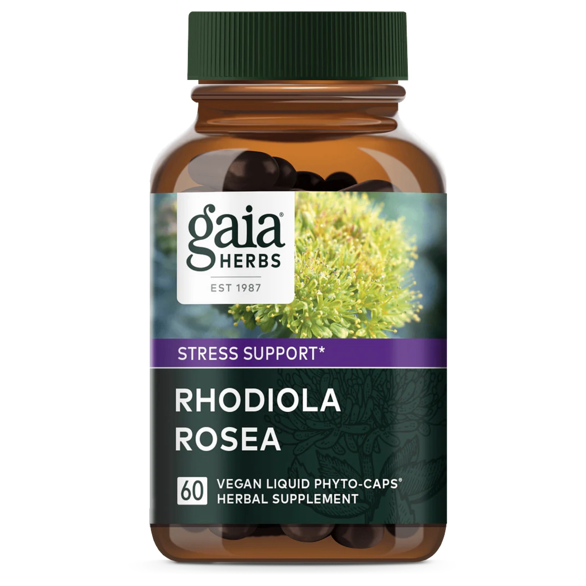 Produktfoto: Rhodiola Rosea