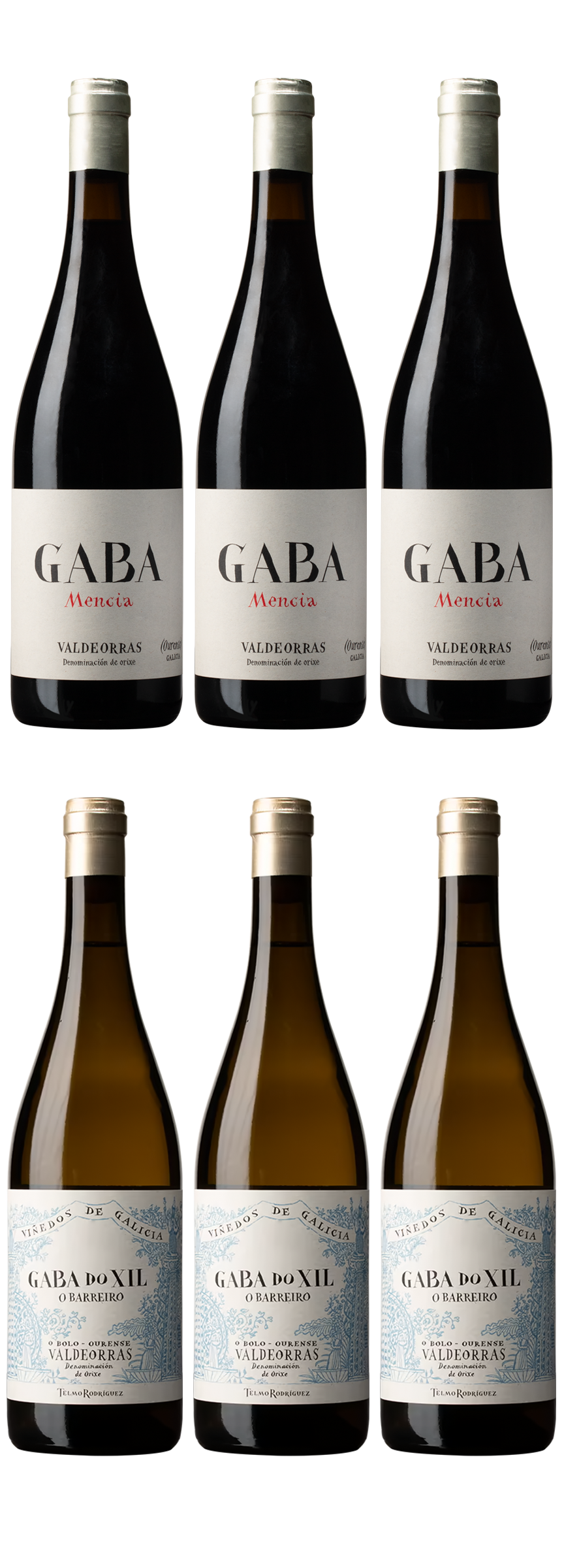 „Gaba-Probierpaket“ DO Valdeorras (6 Flaschen)