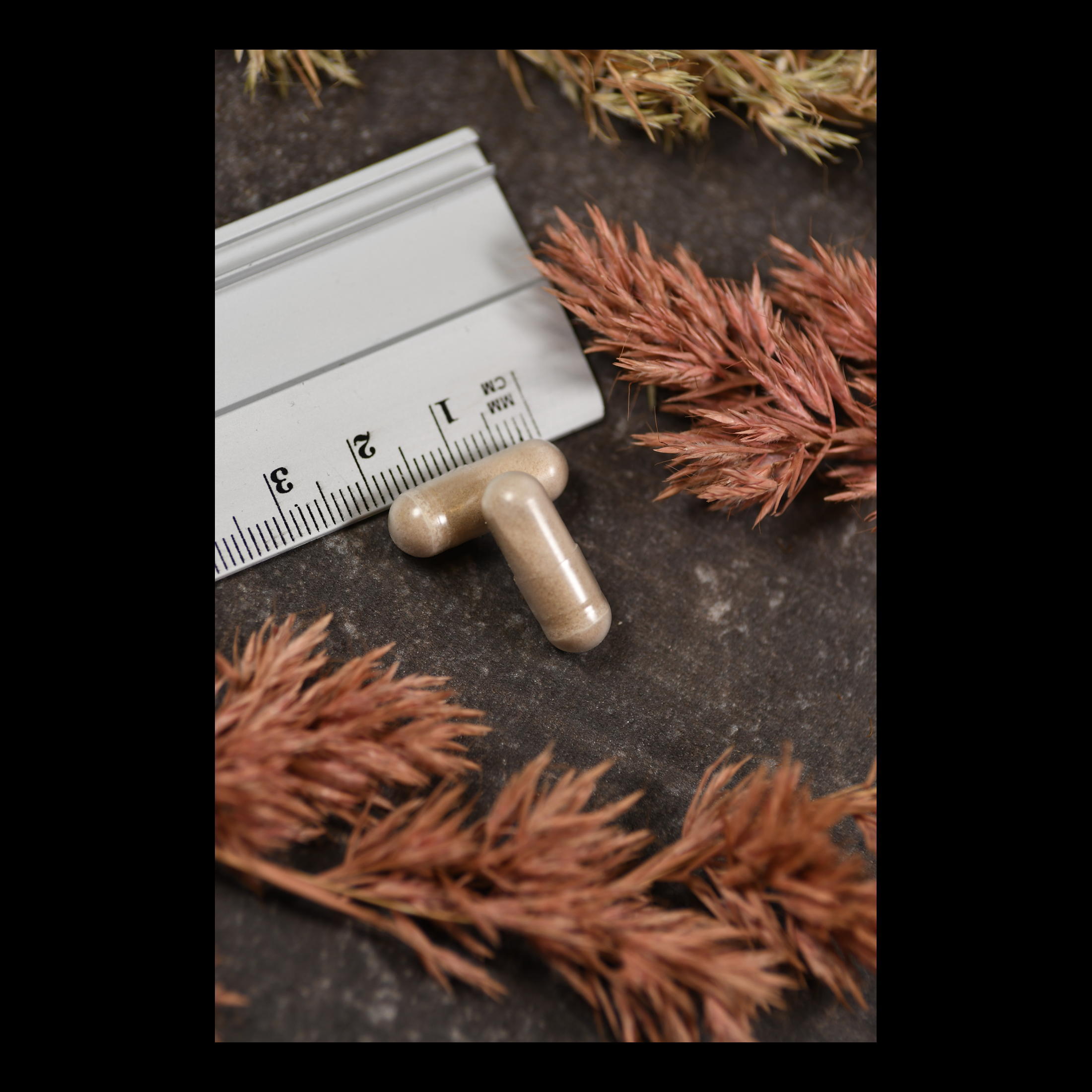 Produktfoto: L. rhamnosus Plus