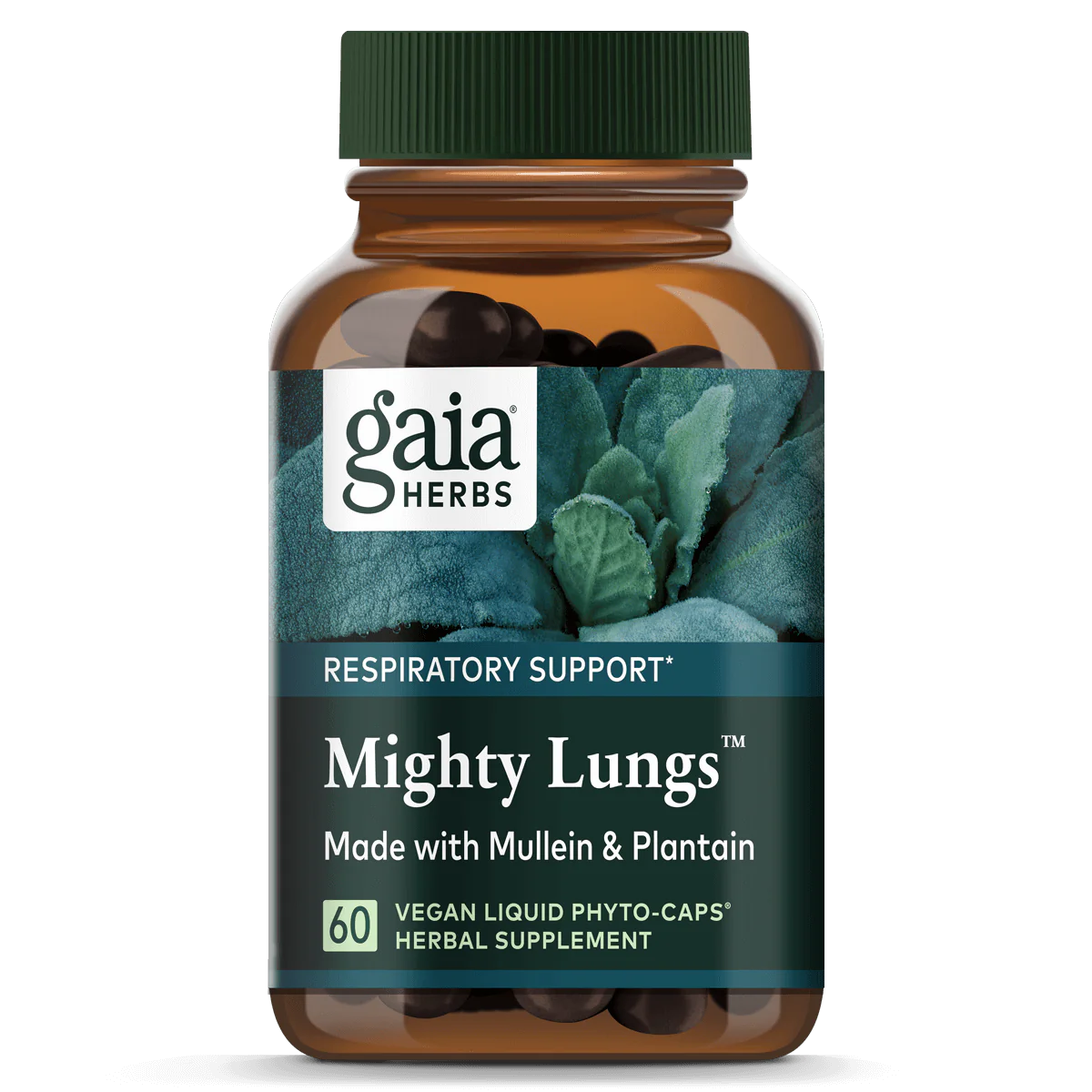 Produktfoto: Das Bild zeigt eine braune Flasche mit grünem Schraubverschluss, die das Produkt “Mighty Lungs“ von Gaia Herbs enthält. Auf dem Etikett steht “Respiratory Support“ und es wird angegeben, dass das Produkt mit Königskerze und Wegerich hergestellt ist. Es sind 60 vegane Flüssigkapseln enthalten. Die Flasche ist vor einem Hintergrund mit grünen Blättern abgebildet.
