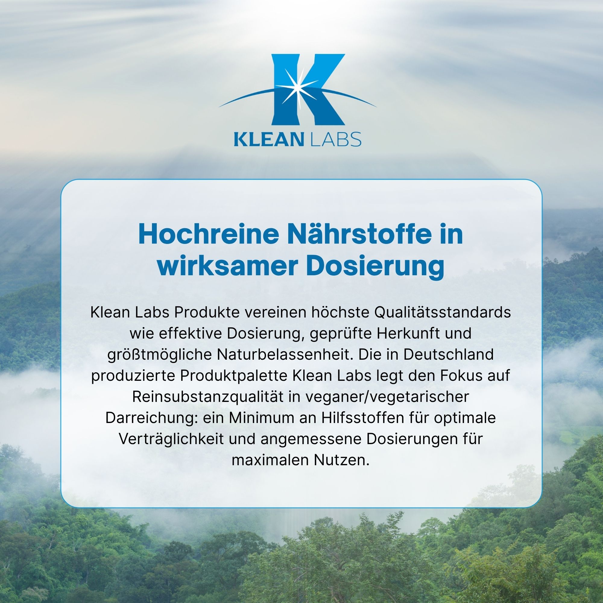Produktfoto: Ein weißer Behälter mit blauem Etikett, das Text über organisch gebundenen Schwefel (MSM) enthält. Der Text beschreibt die Vorteile von MSM für Kollagenbildung und strukturelle Integrität. Es gibt Verzehrempfehlungen und Hinweise zur Lagerung. Der Behälter ist vegan, ohne Gentechnik und glutenfrei.