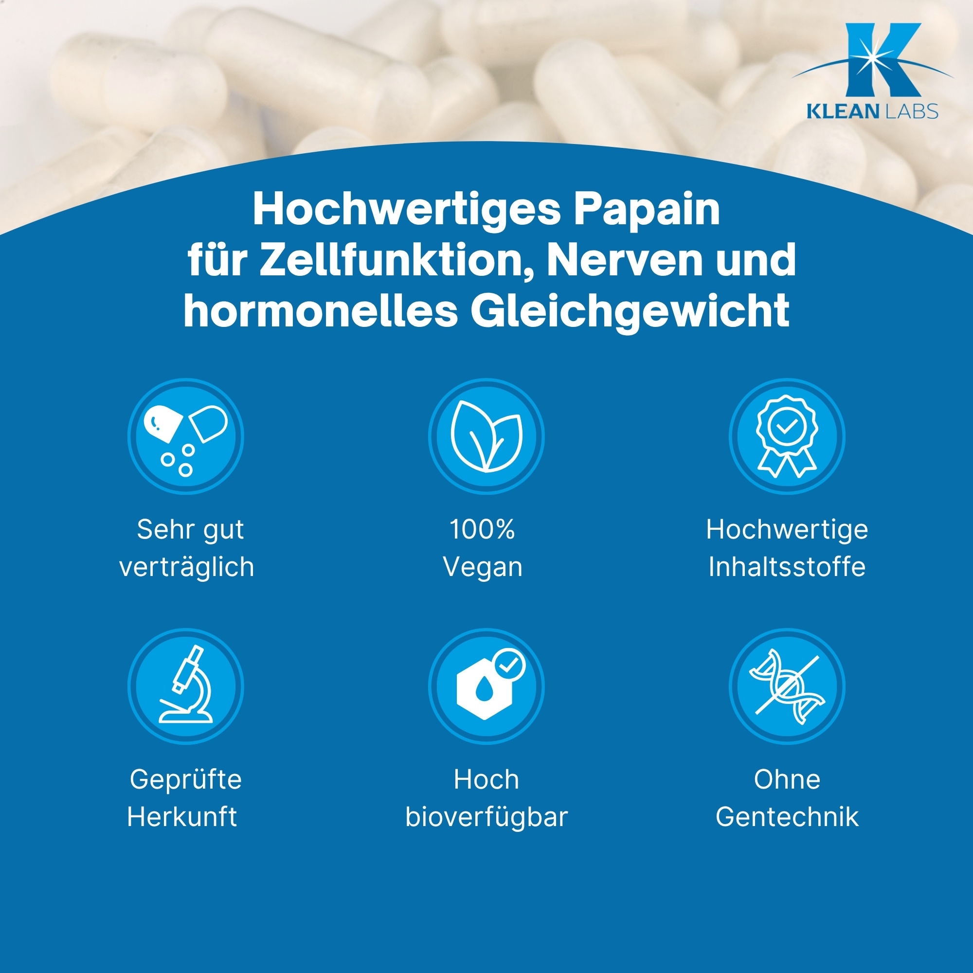 Produktfoto: Eine weiße Flasche mit blauer Aufschrift von Klean Labs. Auf der Flasche steht 'Papain 500 mg'. Es handelt sich um ein Nahrungsergänzungsmittel in Kapselform. Die Flasche hat ein blaues Etikett mit dem Logo von Klean Labs. Auf dem Etikett stehen Informationen zu den Inhaltsstoffen. Die Flasche enthält 90 Kapseln.