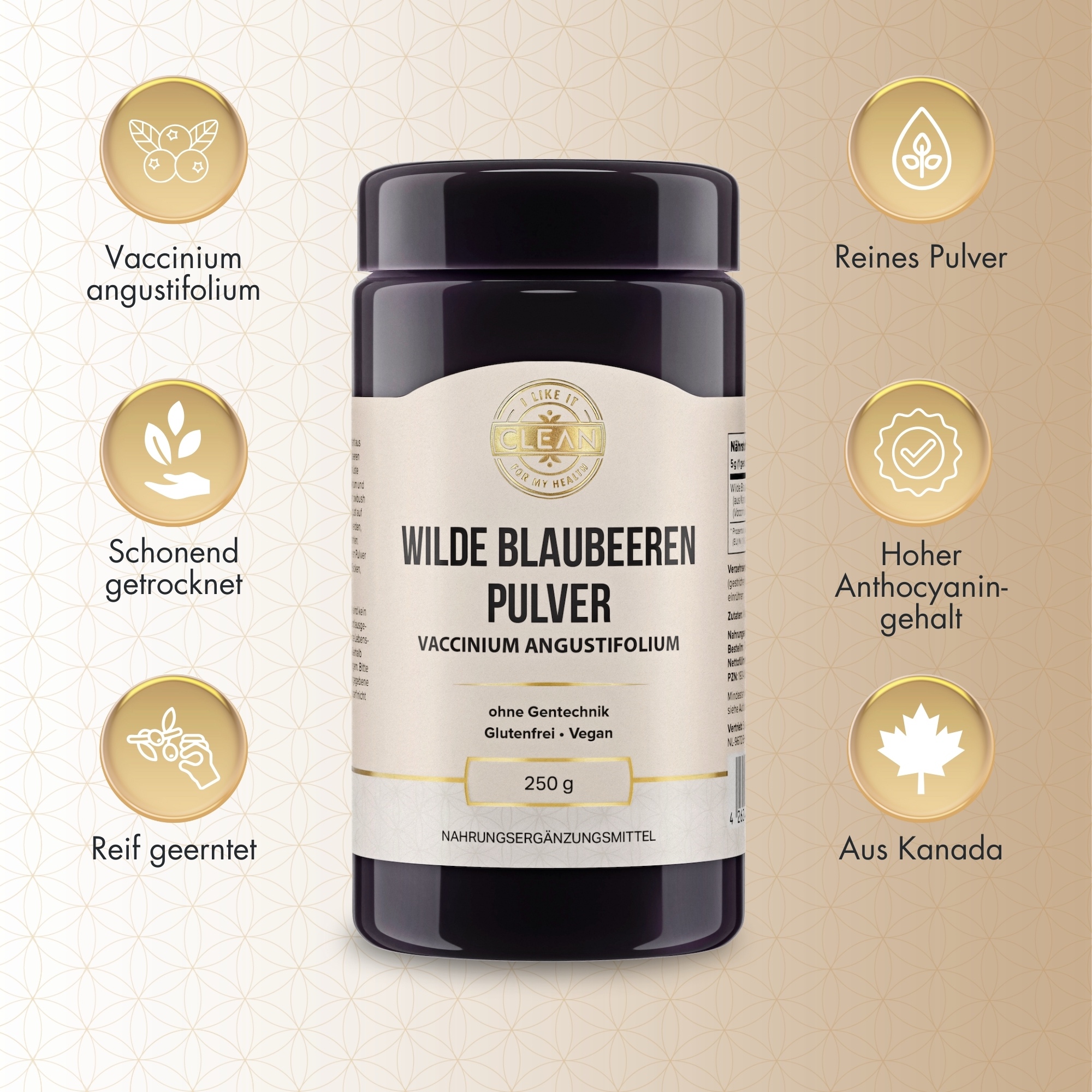 Produktfoto: Ein Behälter mit der Aufschrift “Wilde Blaubeeren Pulver“. Das Etikett zeigt, dass es sich um ein gentechnikfreies, glutenfreies und veganes Produkt handelt. Der Behälter hat ein Fassungsvermögen von 250 g und ist als Nahrungsergänzungsmittel gekennzeichnet. Das Design ist schlicht und informativ, mit einem goldenen Logo oben auf dem Etikett.