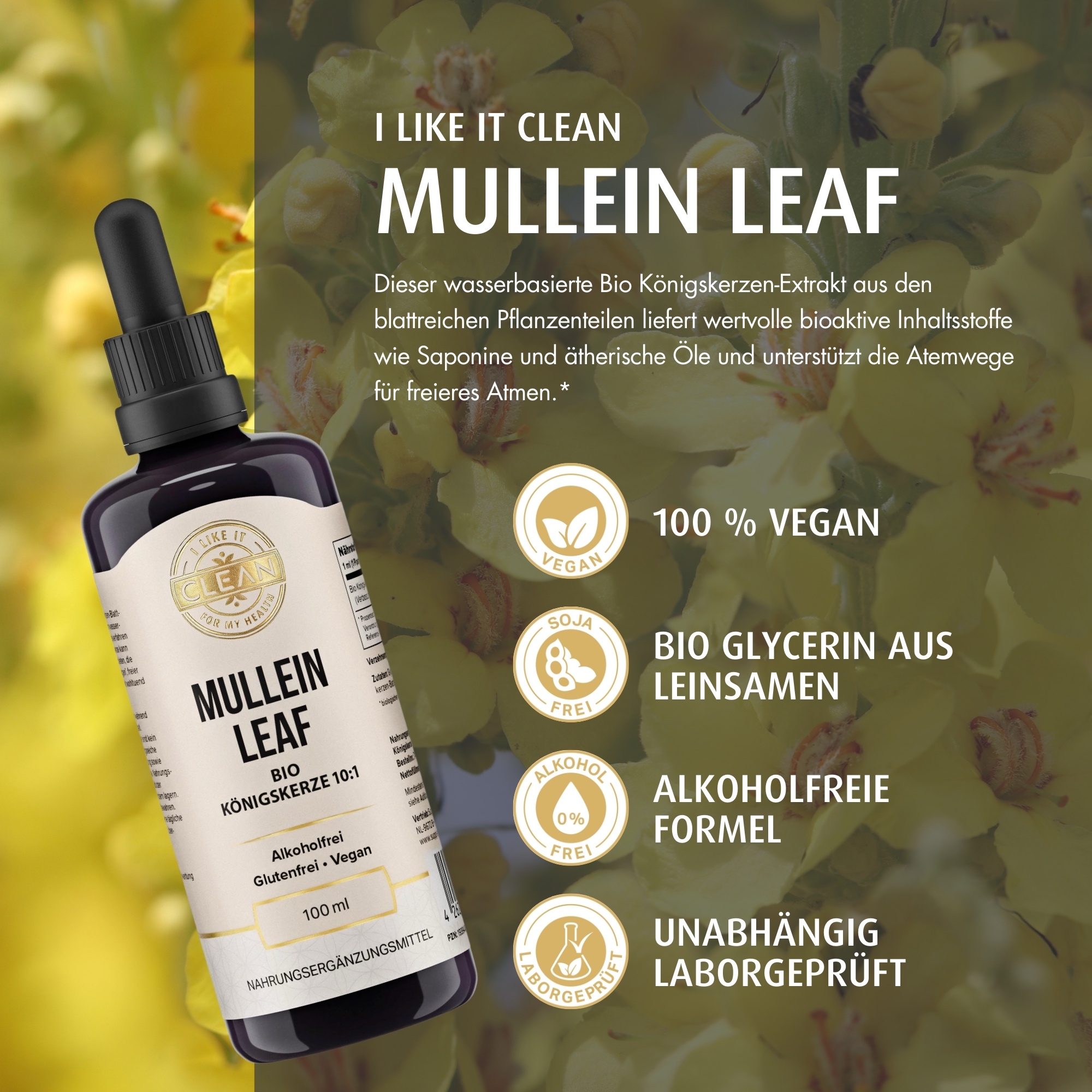 Produktfoto: Die Abbildung zeigt eine dunkelviolette Flasche mit Pipette, die als “Mullein Leaf Bio Königskerze 10:1“ gekennzeichnet ist. Sie ist alkoholfrei, glutenfrei und vegan. Textbeschreibungen um die Flasche heben hervor: hoher Gehalt an bioaktiven Inhaltsstoffen, alkoholfreier Extrakt, reich an Saponinen, Flavonoiden und ätherischen Ölen, nur Blätter für maximale Wirksamkeit, Anwendung als Tee, Tinktur oder Sirup, traditionell zur Unterstützung der Atemwege. Der Hintergrund ist beige.