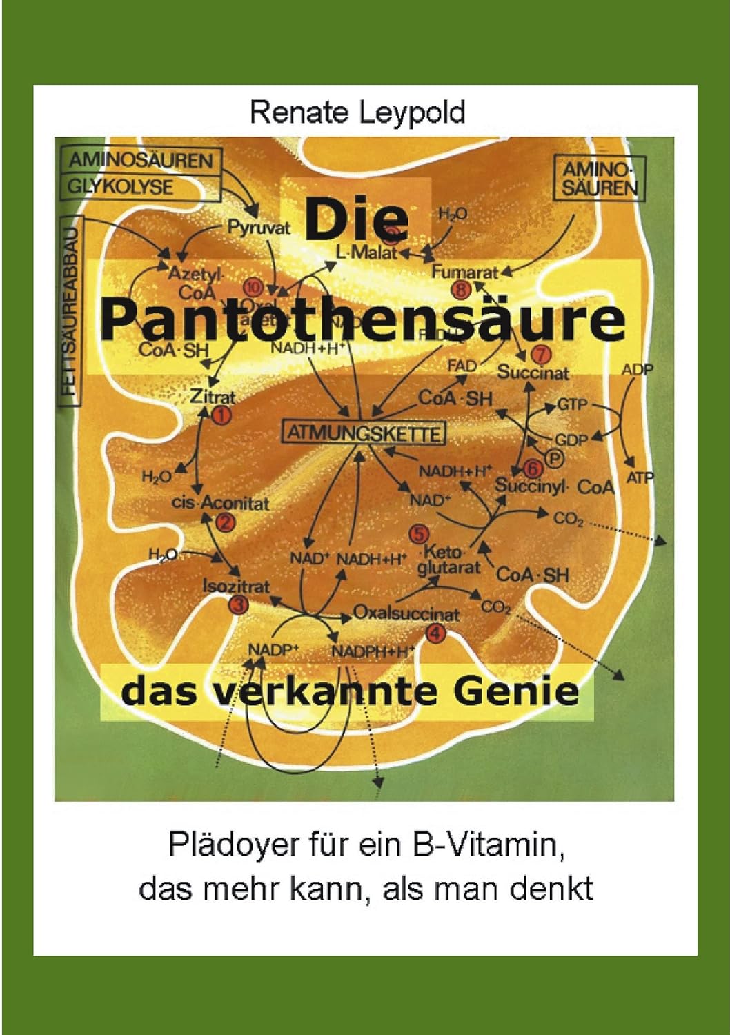 Produktfoto: Leypold, Renate: Die Pantothensäure
