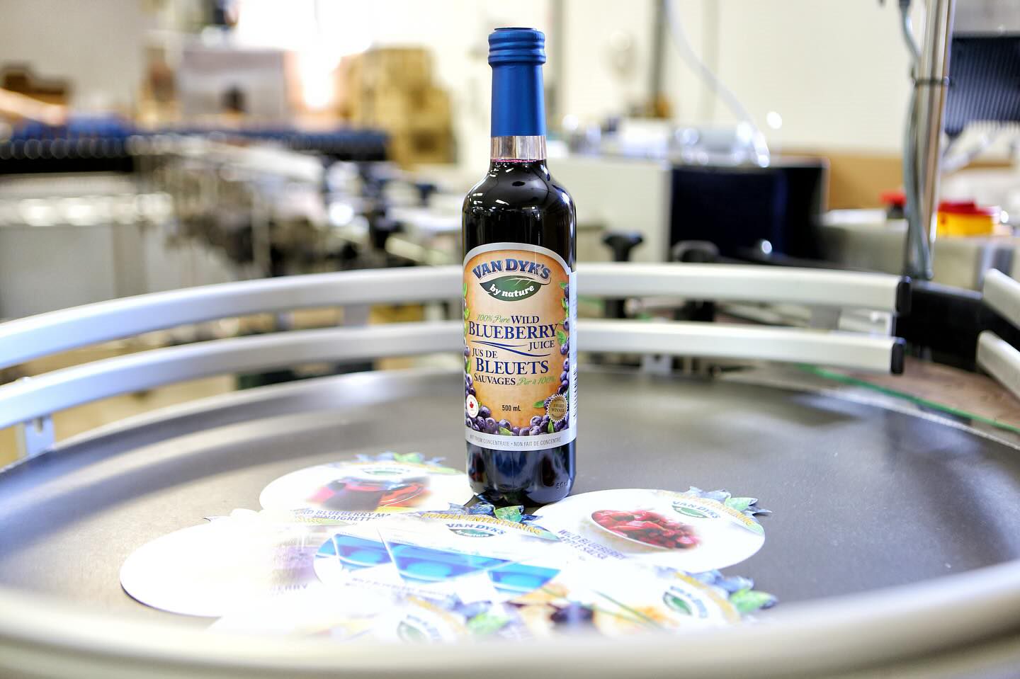 Produktfoto: Wilde Blaubeere Saft | van Dyk