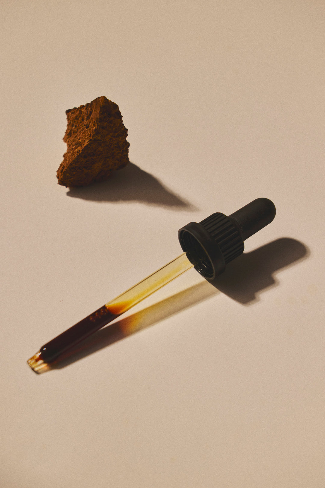 Produktfoto: Chaga Bio Pilz-Flüssigextrakt