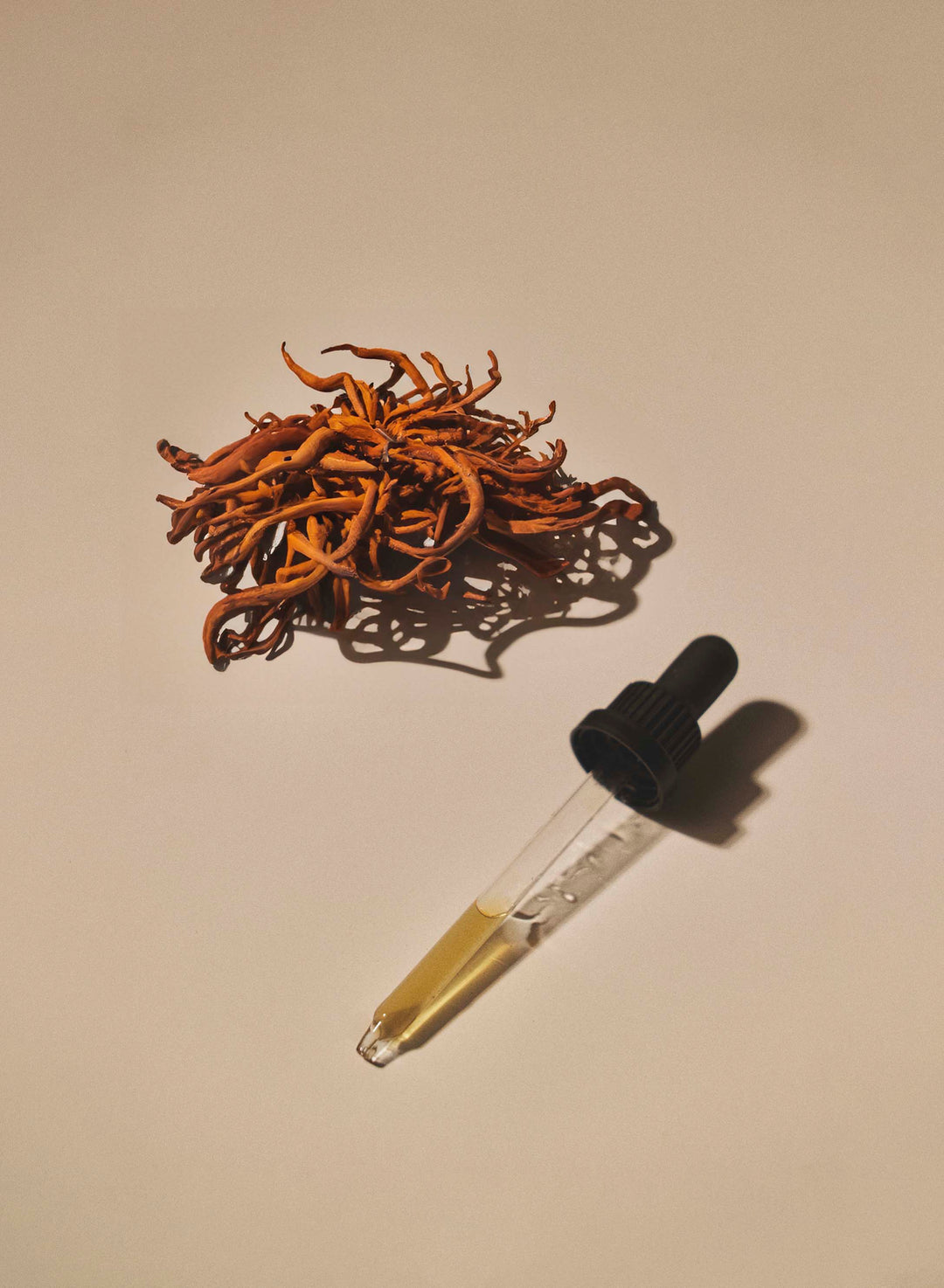 Produktfoto: Cordyceps Bio Pilz-Flüssigextrakt