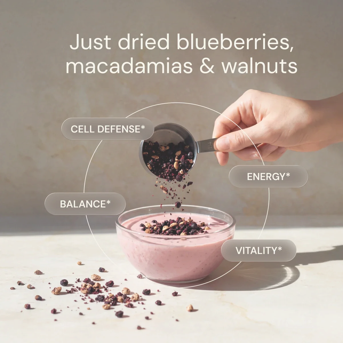 Produktfoto: Blueberry Nut Mix |  Bryan Johnson