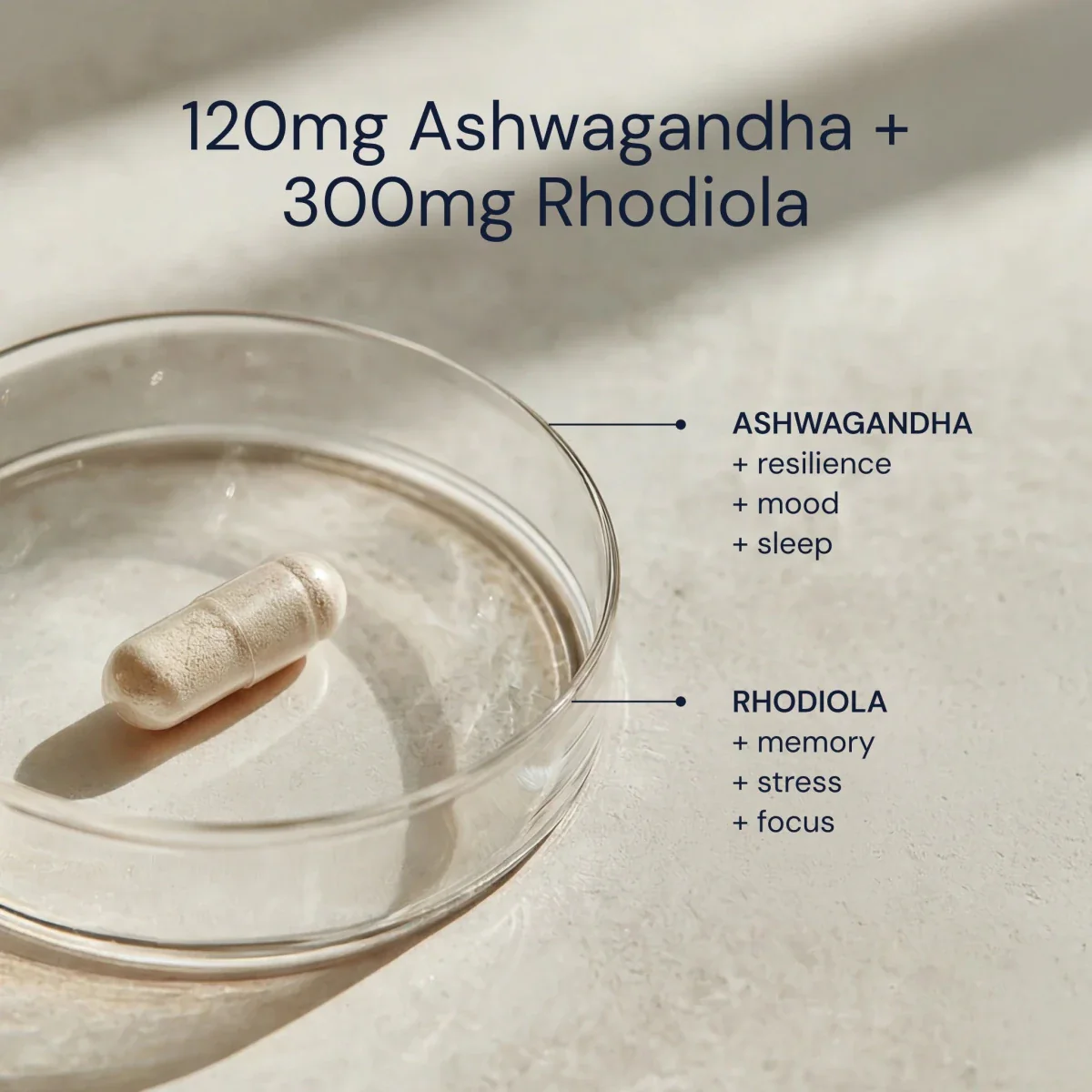 Produktfoto: Ashwagandha & Rhodiola |  Bryan Johnson