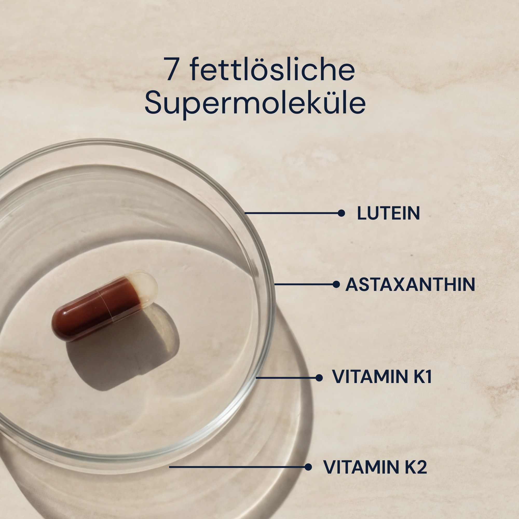 Produktfoto: Advanced Antioxidants |  Bryan Johnson