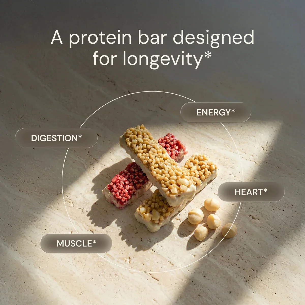 Produktfoto: Macadamia Protein Riegel |  Bryan Johnson