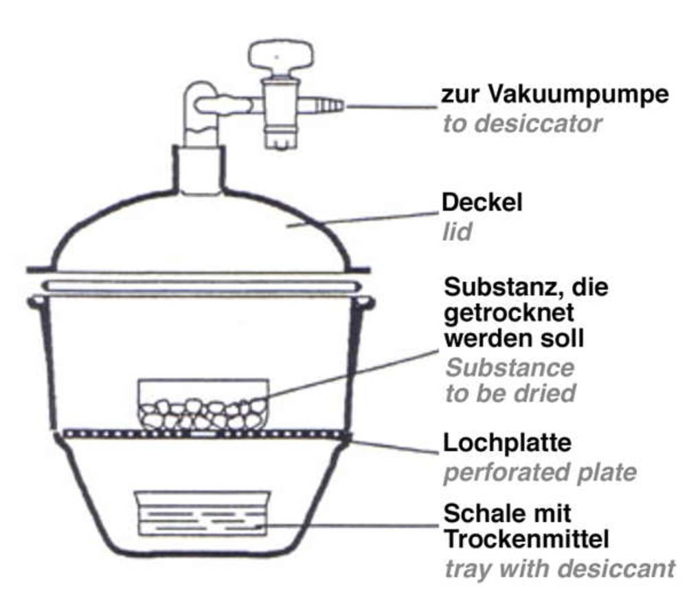 Lochplatten für Exsikkatoren aus PP/PC, Bild 2