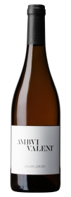 Produktfoto: Eine Burgunderflasche mit schwarzem Verschluss und weißem Etikett. Auf dem Etikett steht “AMBVI VALENT“ und “CELLER CREDO“.