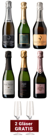 Produktfoto: Champagner-Probierpaket (6 Flaschen + 2 Gläser)