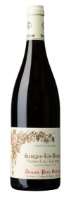 Produktfoto: Flasche Savigny-Lès-Beaune Premier Cru Les Jarrons von Domaine Pierre Guillemot mit Etikett.