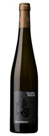 Produktfoto: Schlegelflasche mit Etikett 'Zellertal Riesling' und 'BattenfeldSpanier'. Goldene Kapsel, dunkles Glas.