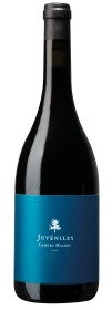 Produktfoto: Eine Weinflasche mit blauem Etikett, auf dem 'Juvéniles Cahors Malbec' steht.