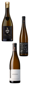 Produktfoto:  „Best of Sauvignon Blanc Trophy 2025“