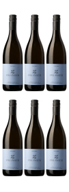 Produktfoto: Zillinger Grüner Veltliner „Neuland“ 2024
