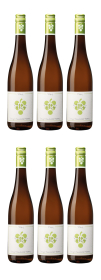 Produktfoto: Rebholz 6x Riesling „Ökonomierat“ trocken 2024