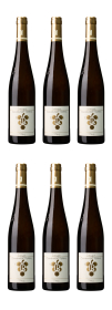 Produktfoto: Rebholz 6x Kastanienbusch Riesling Großes Gewächs 2024